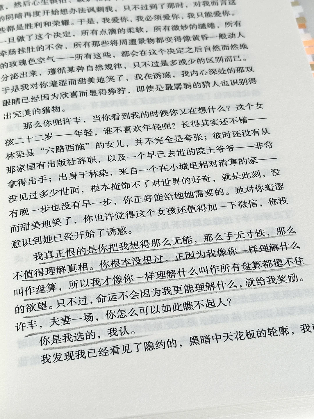 篇篇封神！我今年读到最好的短篇小说年选！！