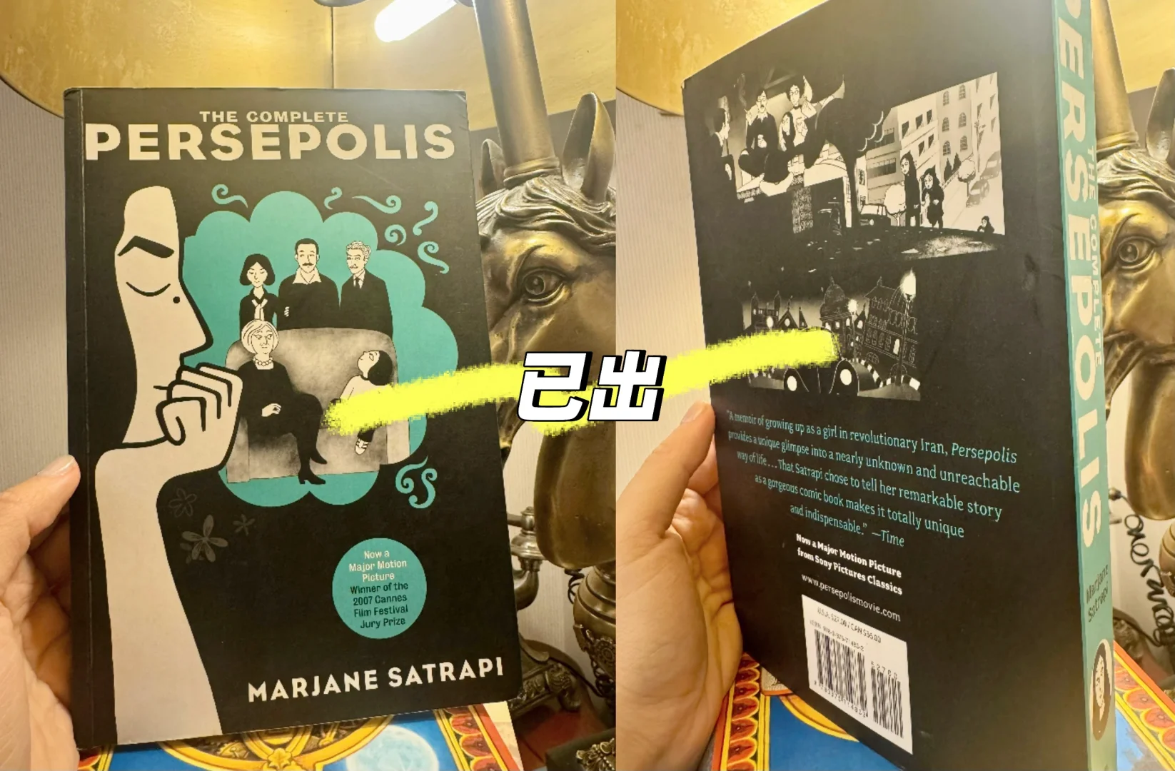 ➗Persepolis 我在伊朗长大 获奖作品