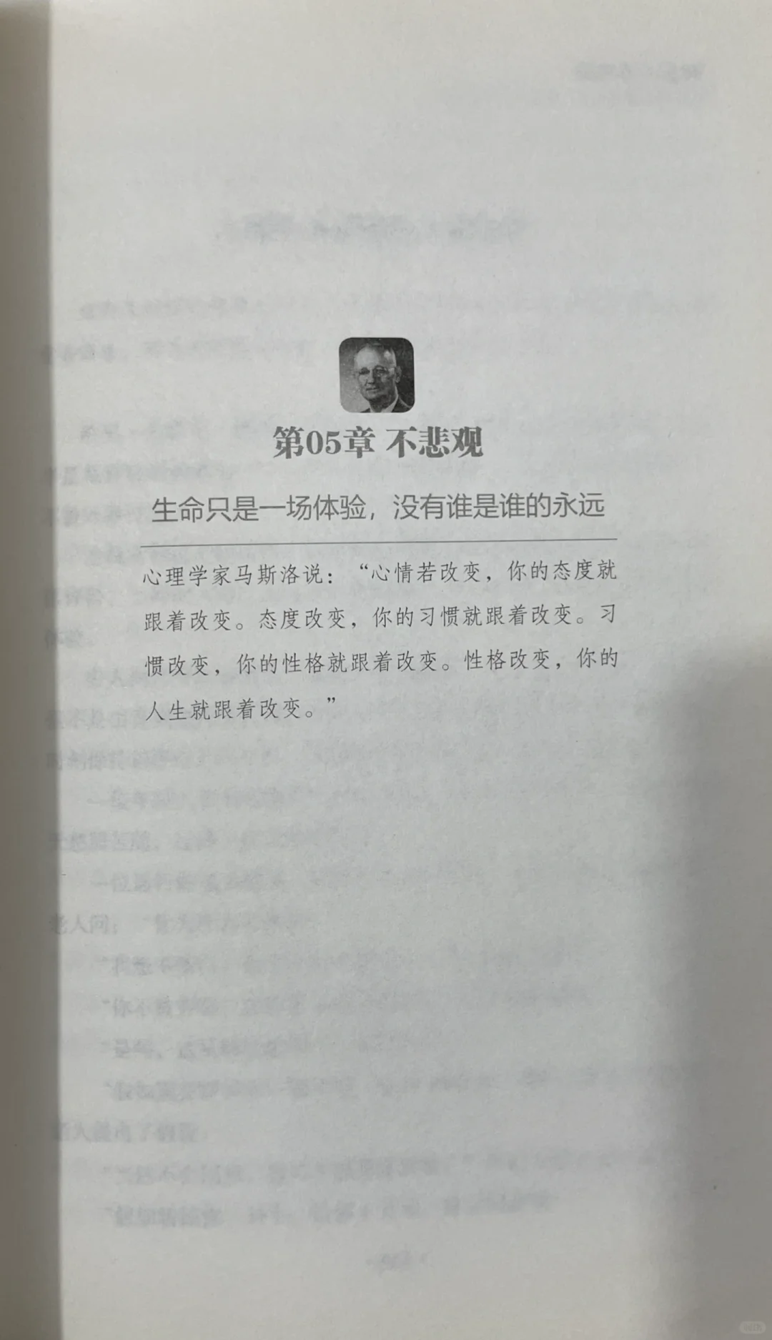 🌿《静心》｜一本让我从浮躁到平静的治愈之书