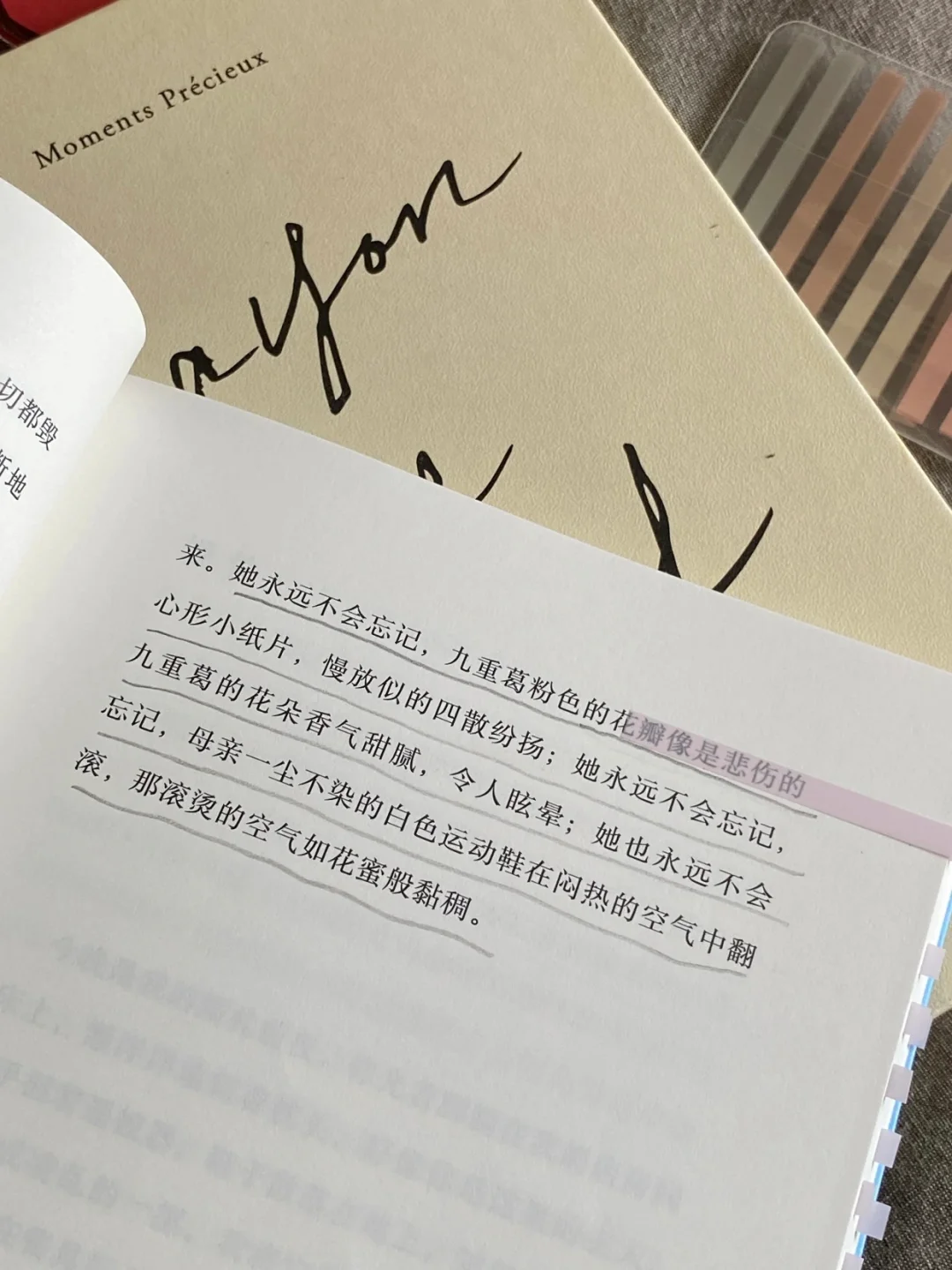 好爱这种文学属性很浓的书。
