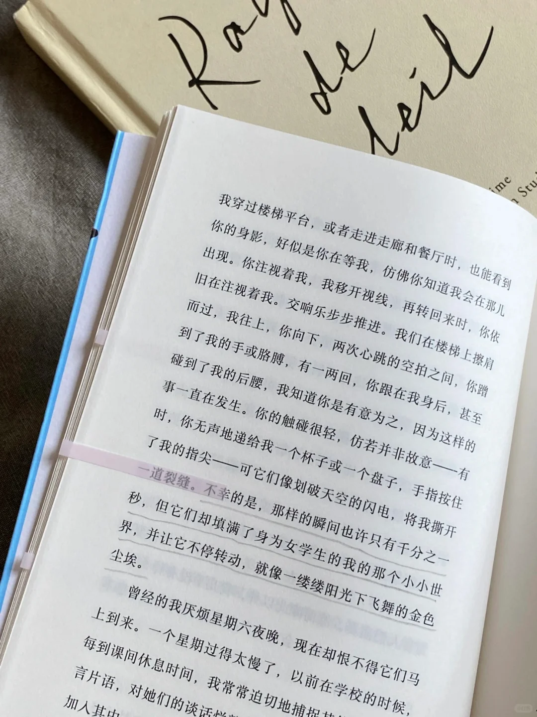 好爱这种文学属性很浓的书。