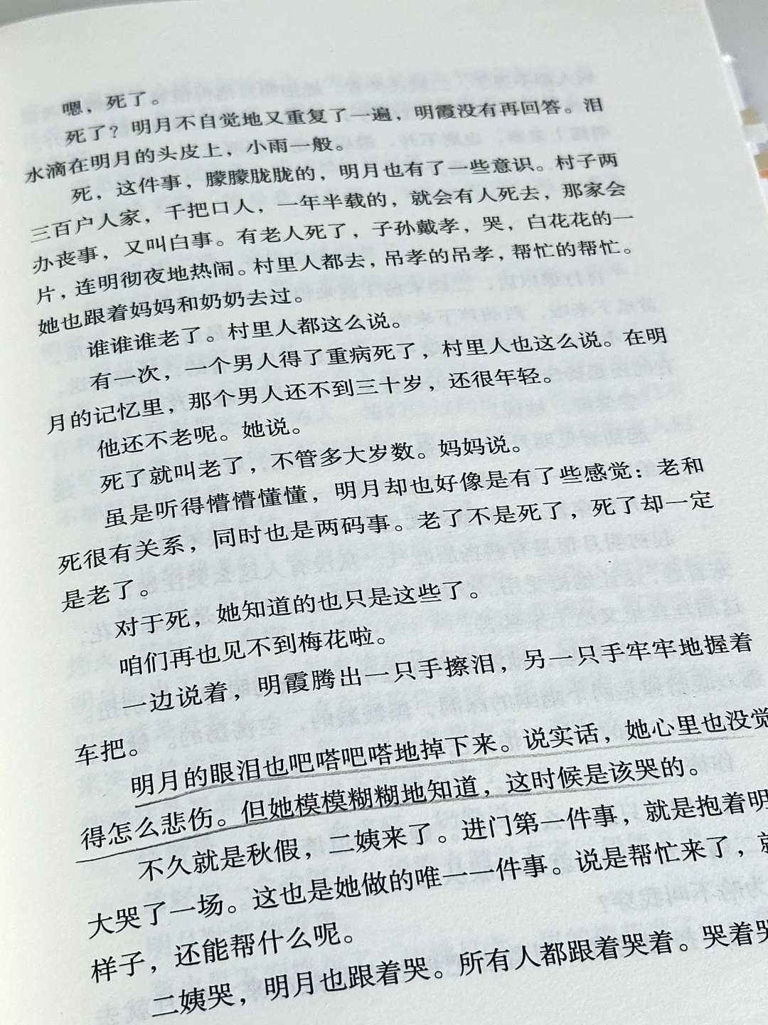 篇篇封神！我今年读到最好的短篇小说年选！！
