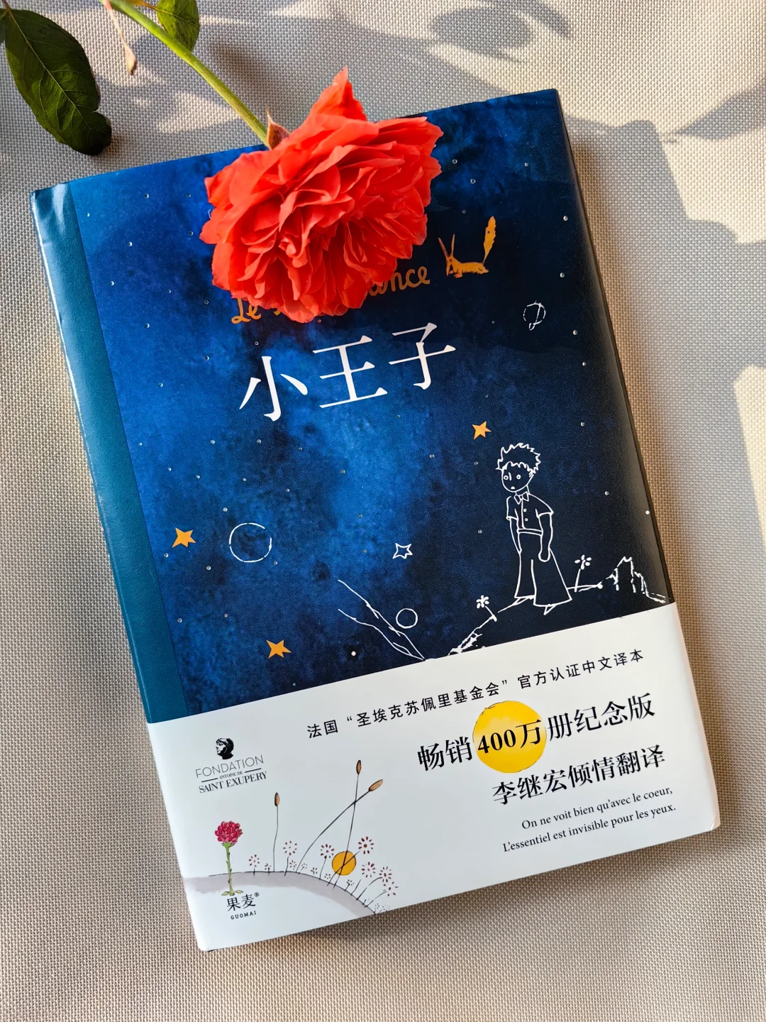“大人真是奇怪啊。”