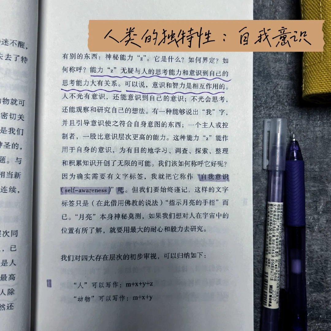 又一本因阅读而审美激动的好书