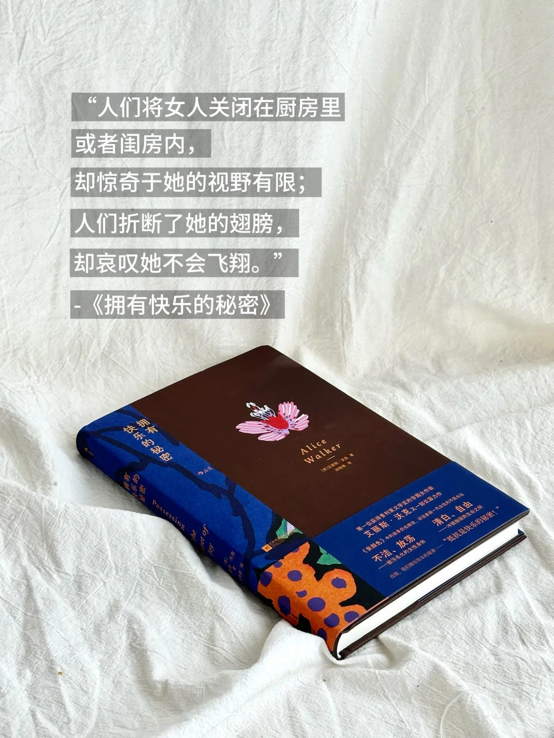 📚6月书单分享