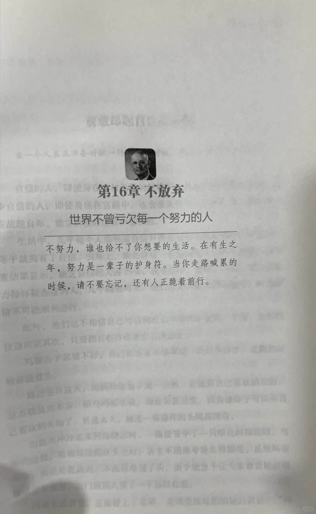 🌿《静心》｜一本让我从浮躁到平静的治愈之书