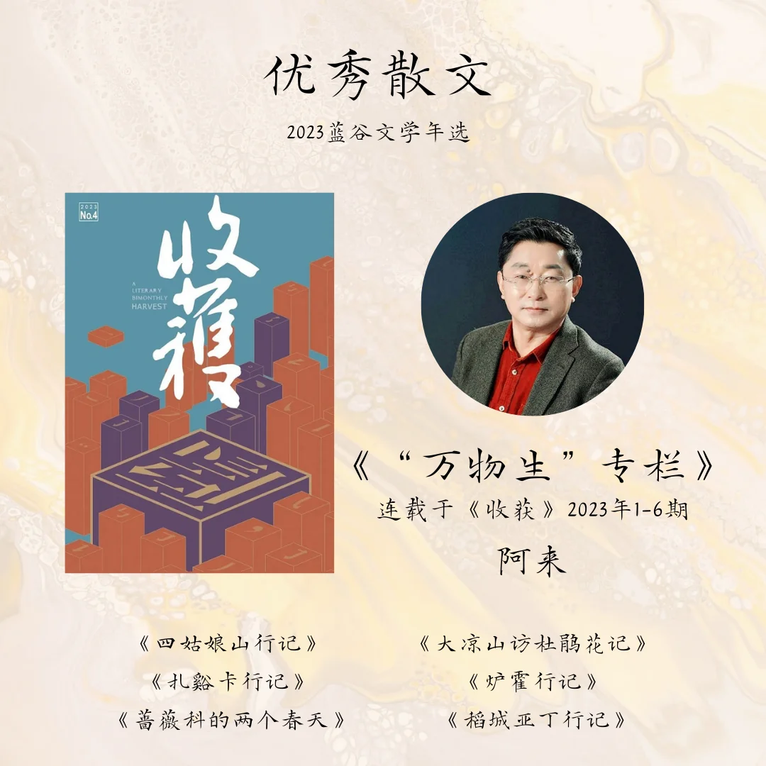 2023年度华语文学私人盘点