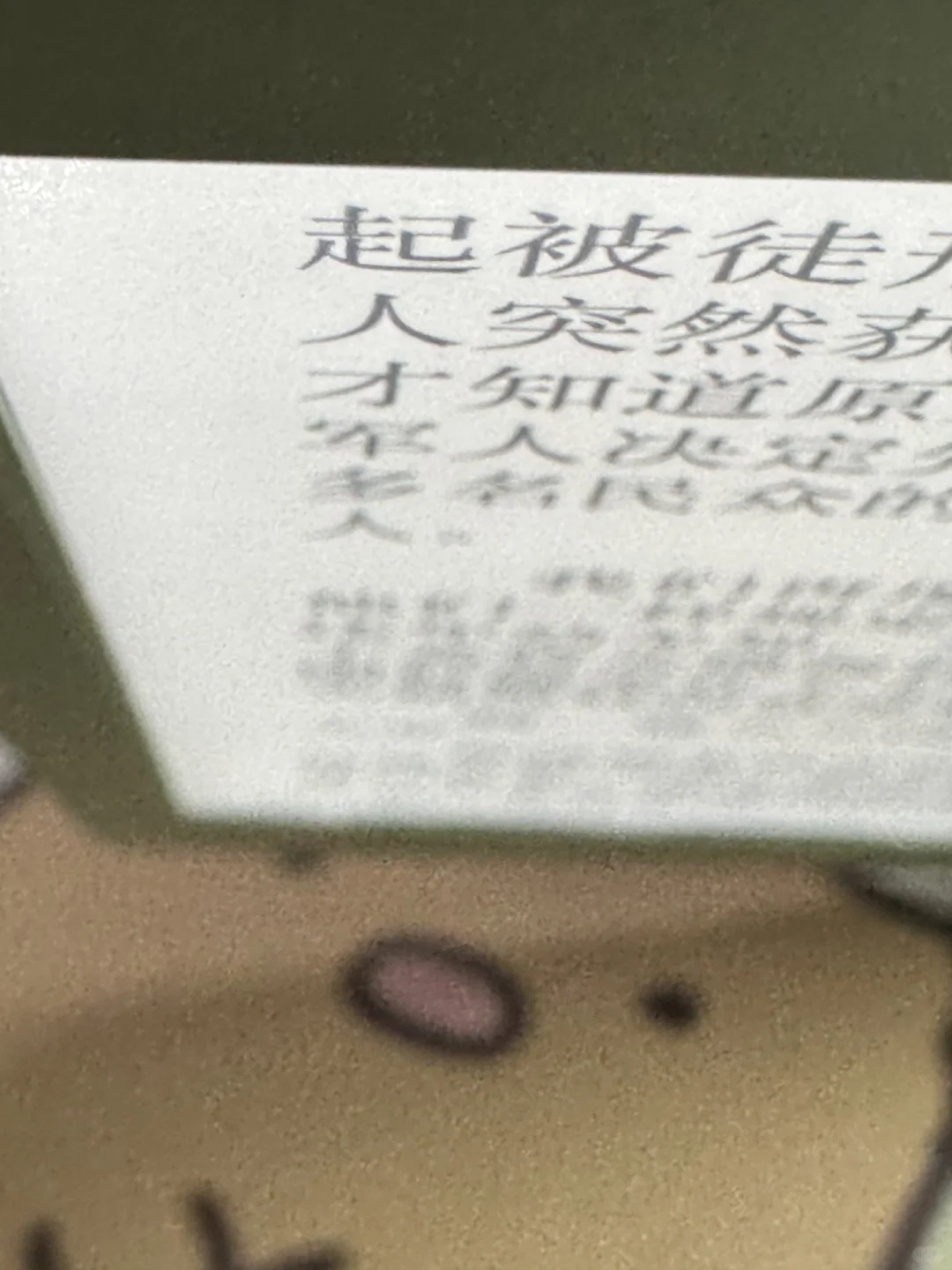 不知哪位高人欲收kindle 2024抹茶绿