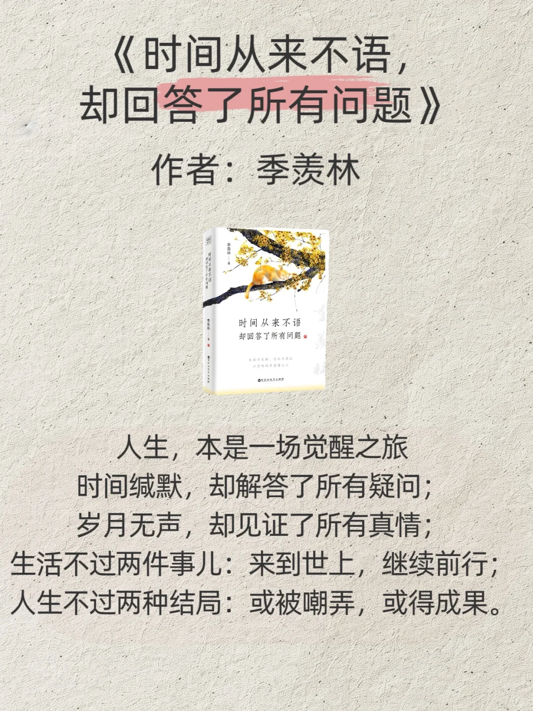 2025央视力荐❗️想逆袭，就读这6本📚