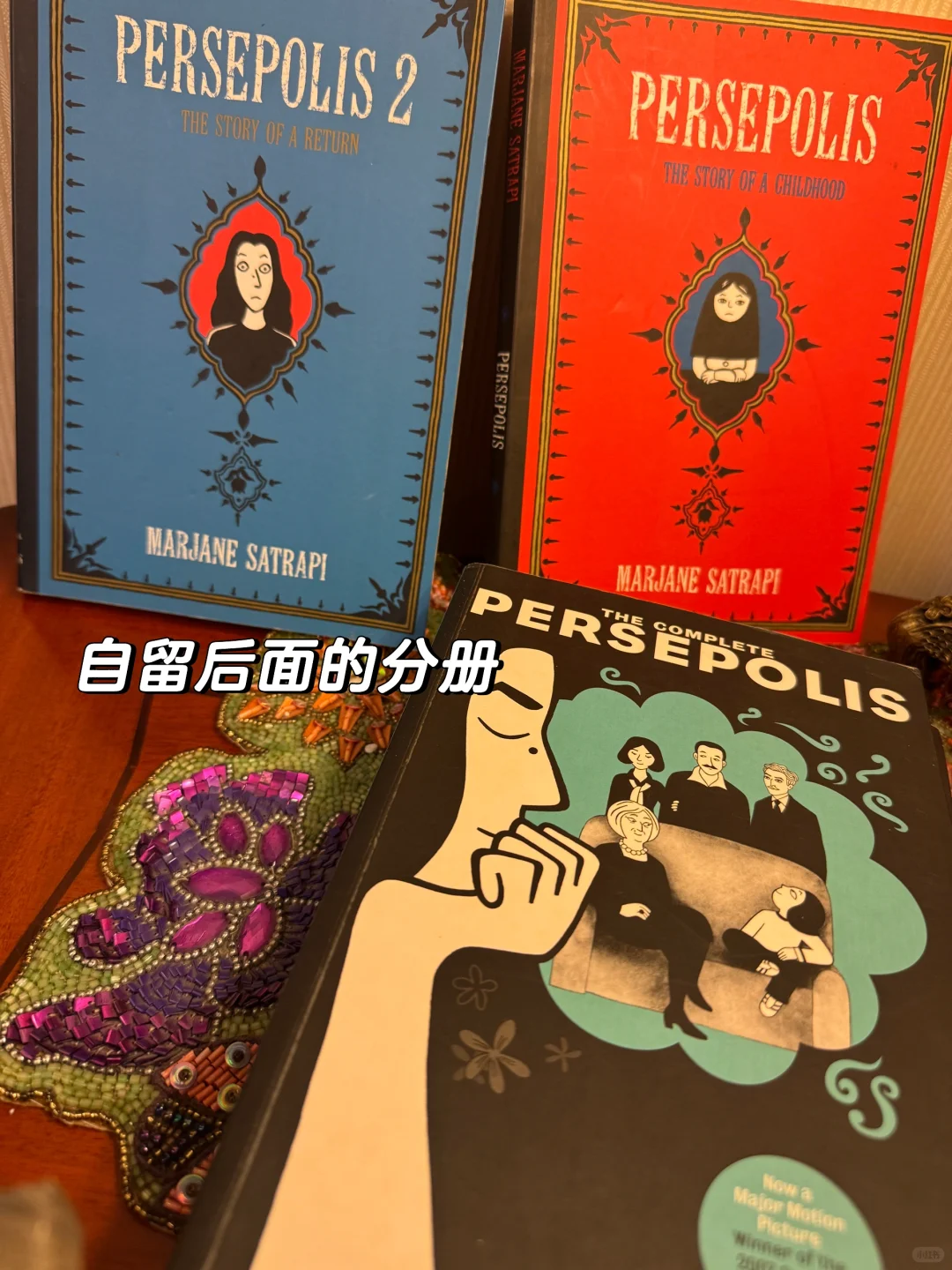 ➗Persepolis 我在伊朗长大 获奖作品