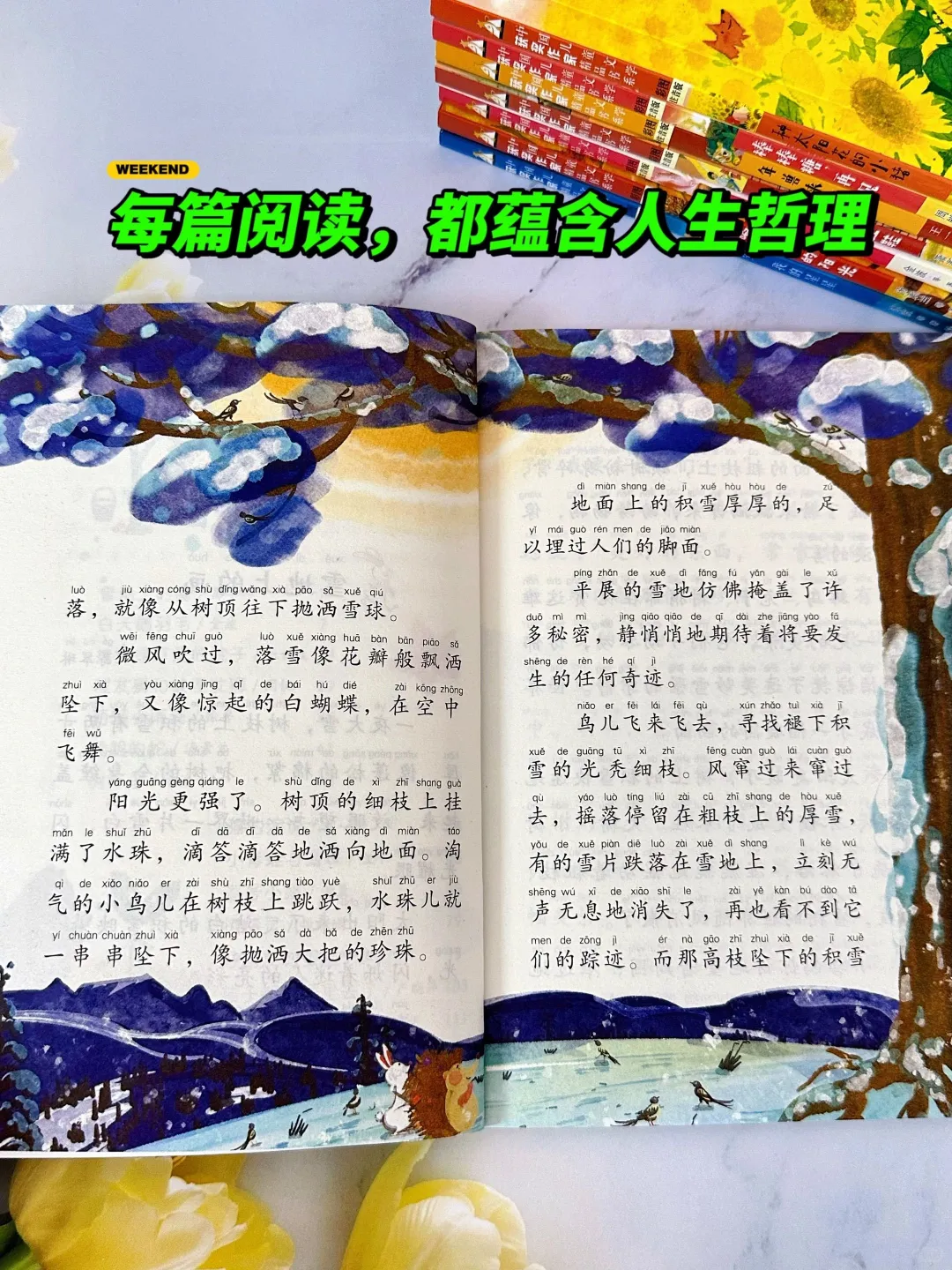 🔥一套专为低年级打造的儿童文学作品‼️