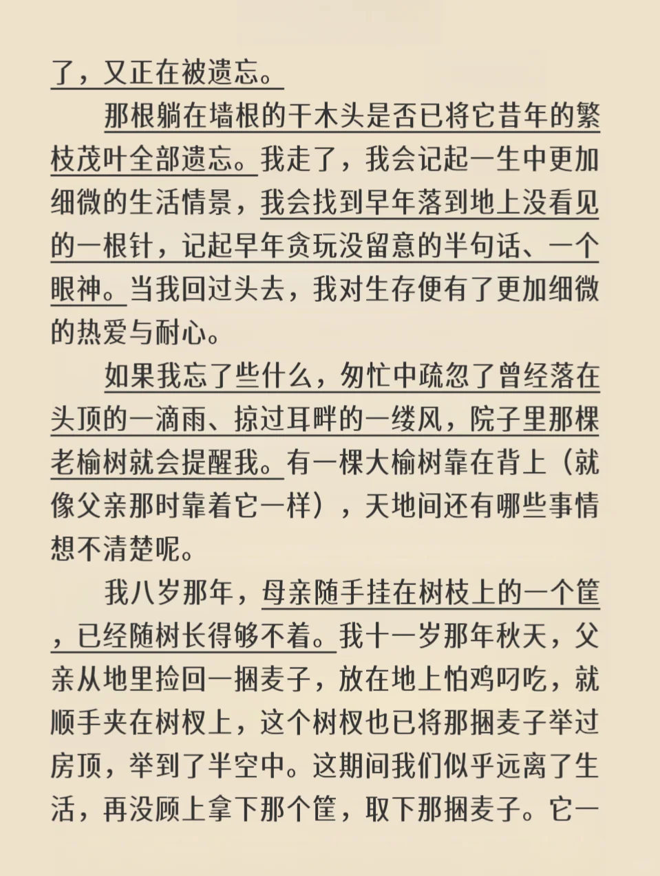 树会记住很多事｜刘亮程