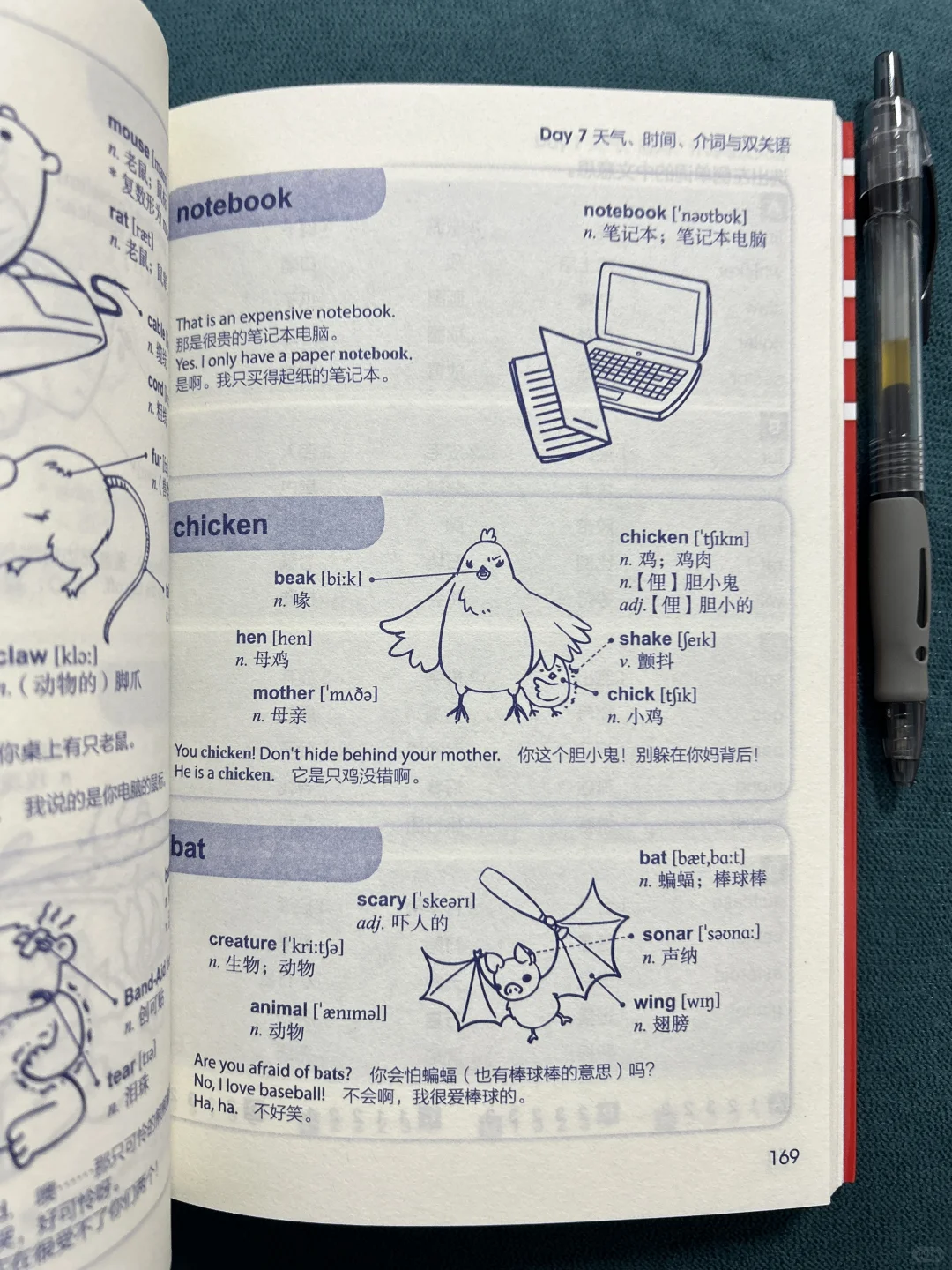 豆瓣9.9高分！一本书解决我匮乏的英语词汇