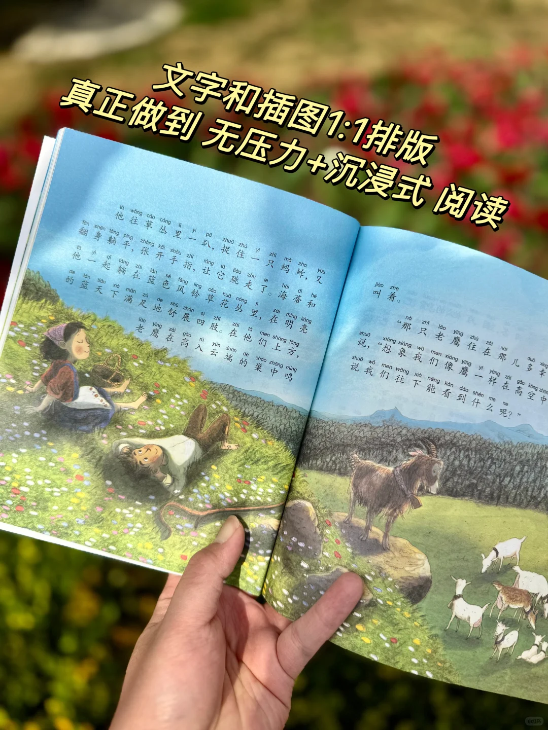 直接抄作业！清华附小都在读的课外书单！