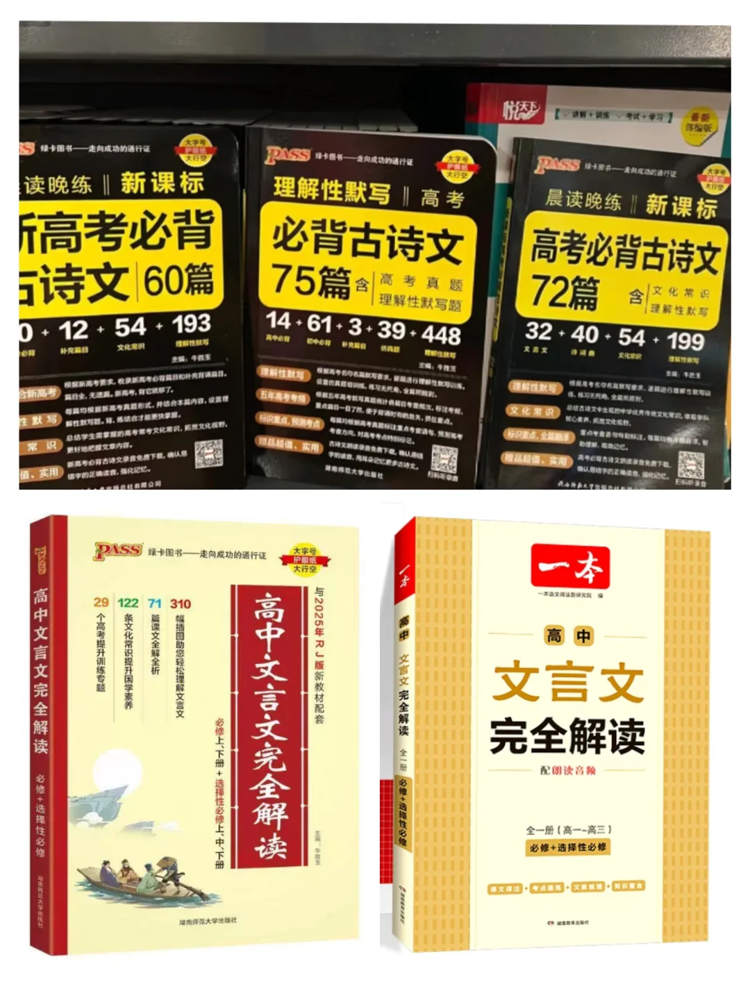 新高一求答疑