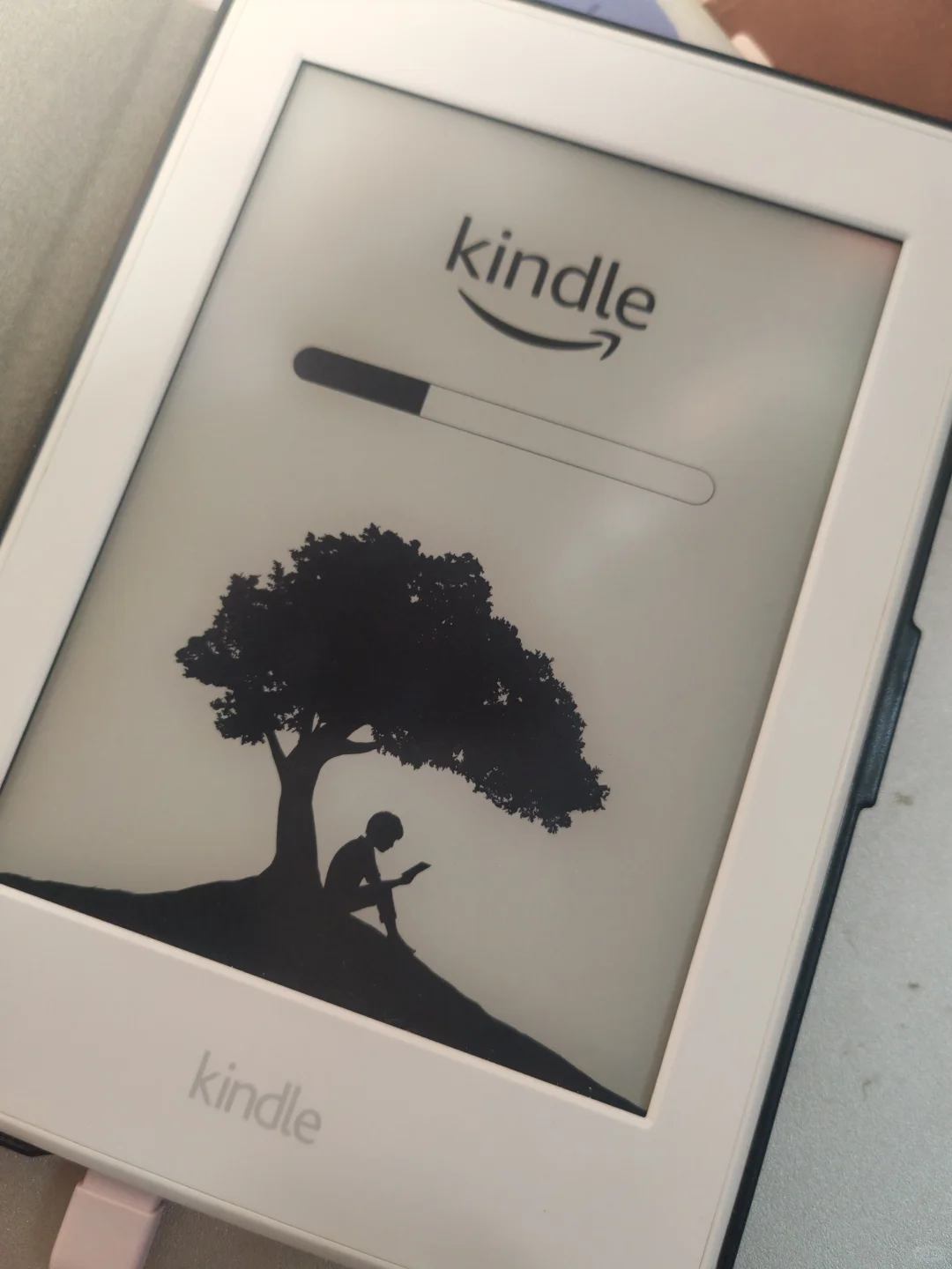 谢谢小红书救活了我的kindle
