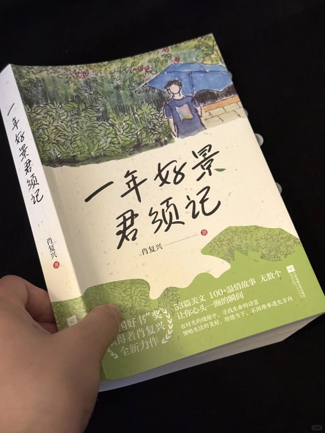 文笔美到心颤❗️恨不得全文摘抄背诵❗️