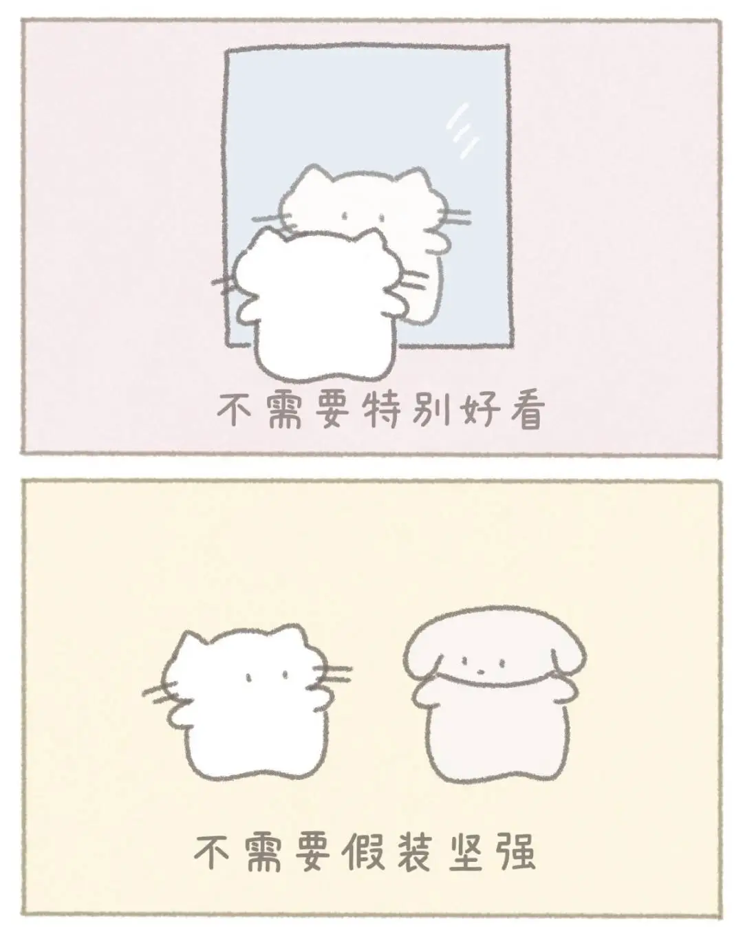 小猫的第一本书出版啦！！！🐱