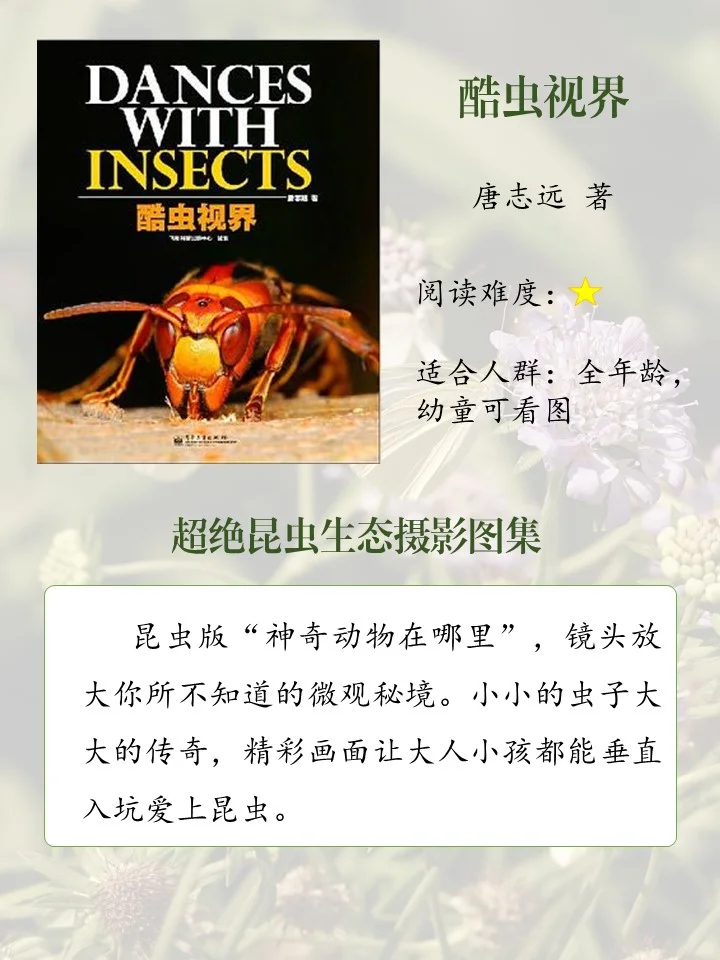 喜欢昆虫的娃必读的10本书