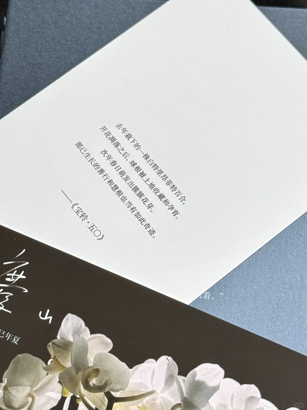 今年读到文笔很绝的一本书，没有之一。