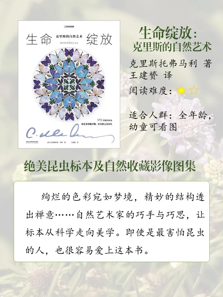 喜欢昆虫的娃必读的10本书