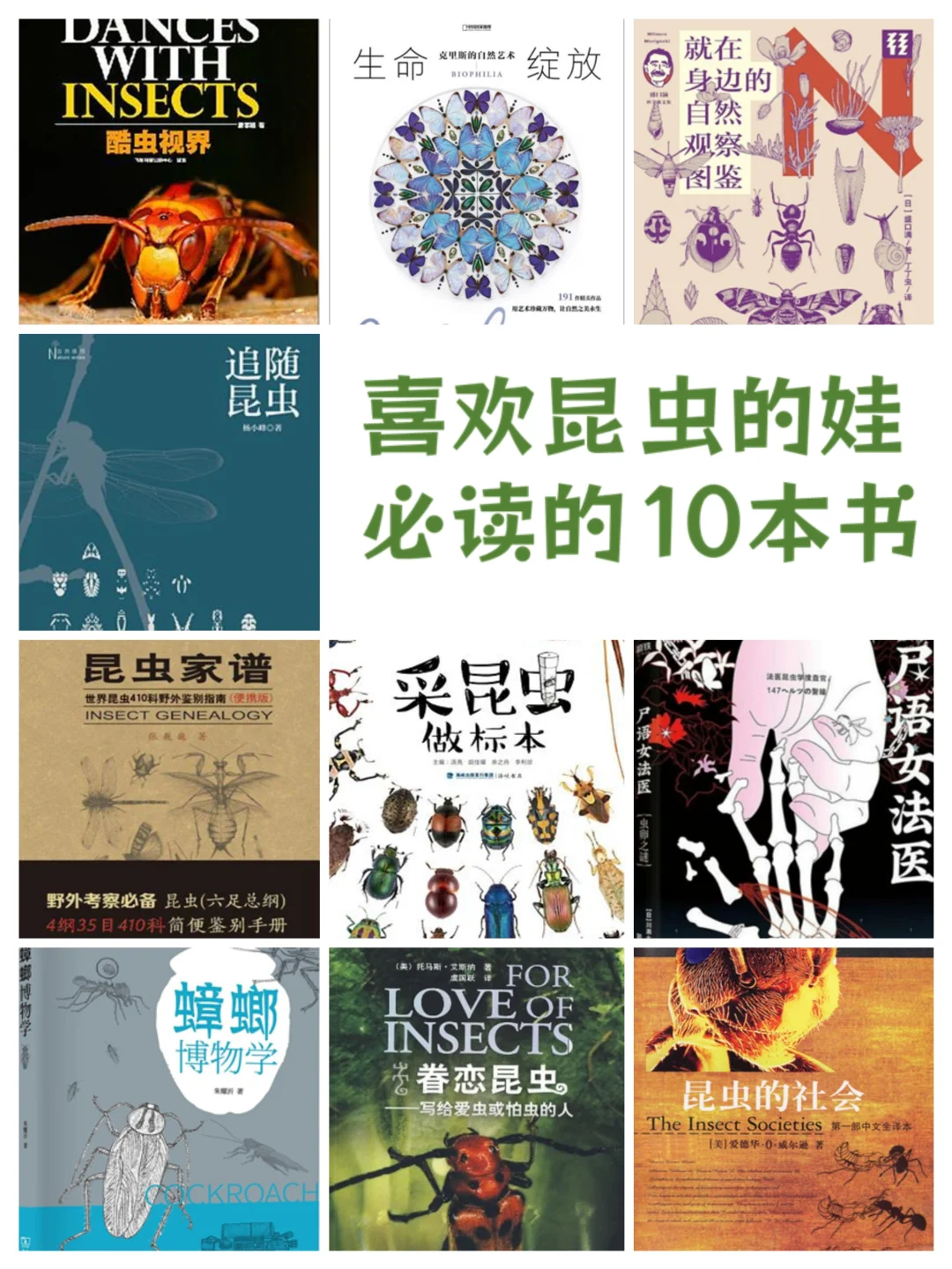 喜欢昆虫的娃必读的10本书