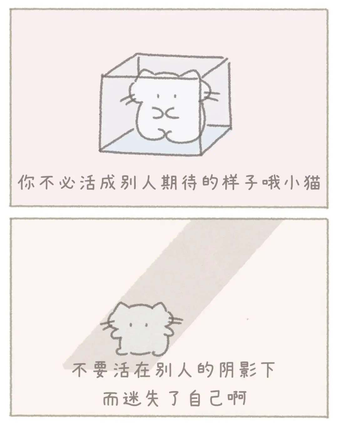 小猫的第一本书出版啦！！！🐱