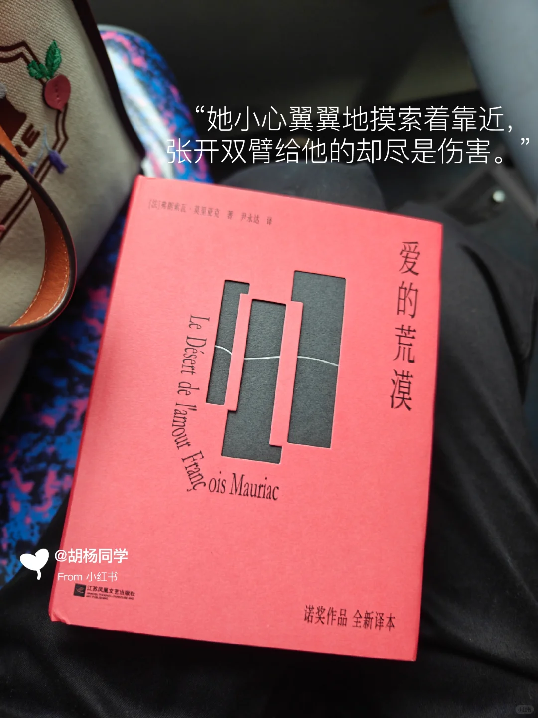 打工人通勤书单 | 当我在路上不停读书3