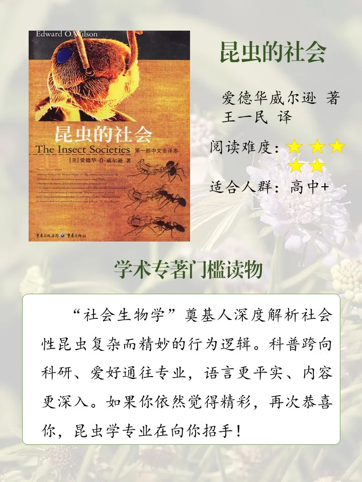 喜欢昆虫的娃必读的10本书