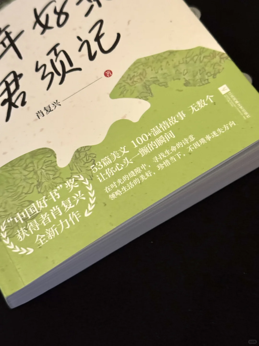 文笔美到心颤❗️恨不得全文摘抄背诵❗️
