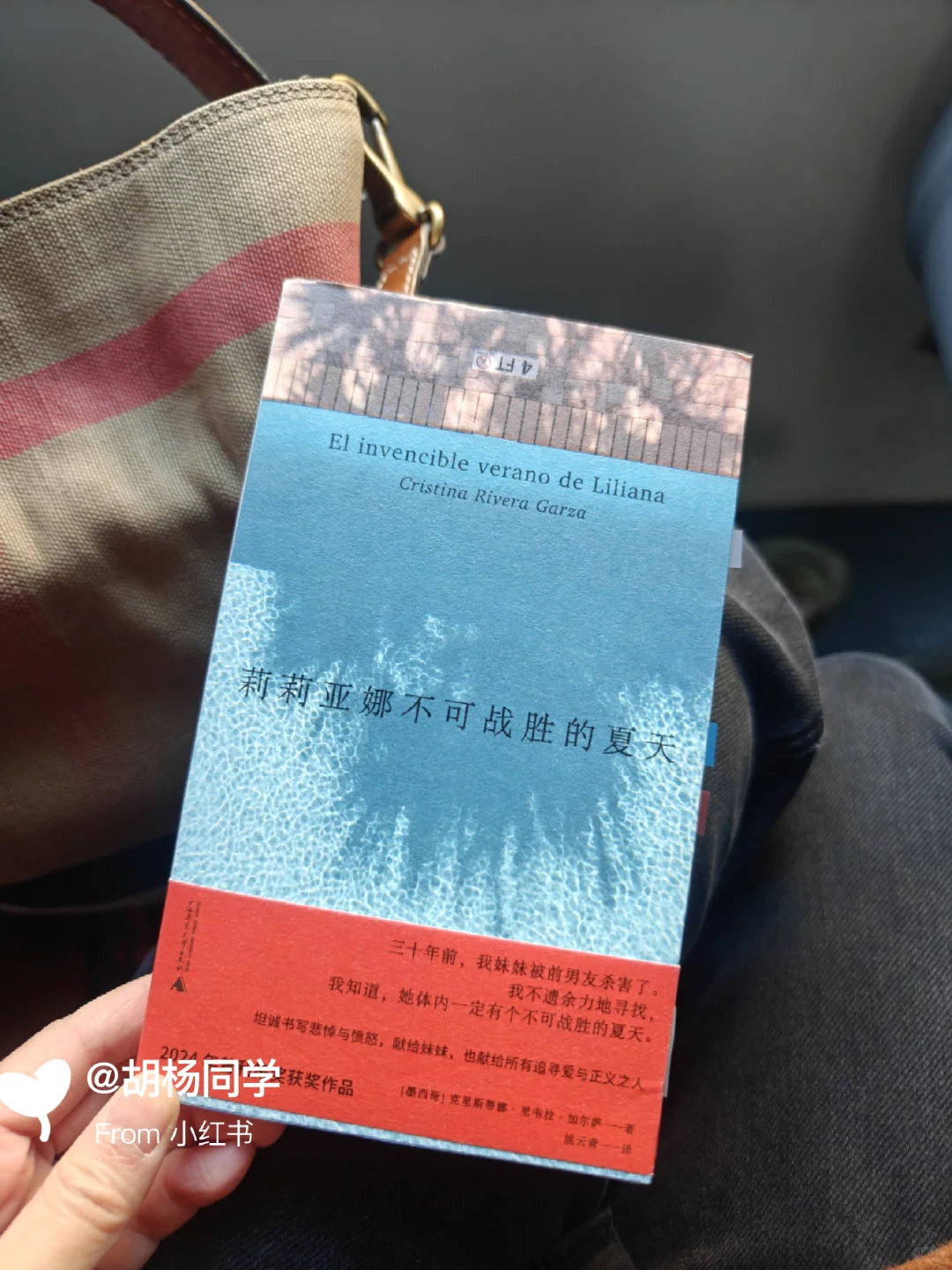 打工人通勤书单 | 当我在路上不停读书6