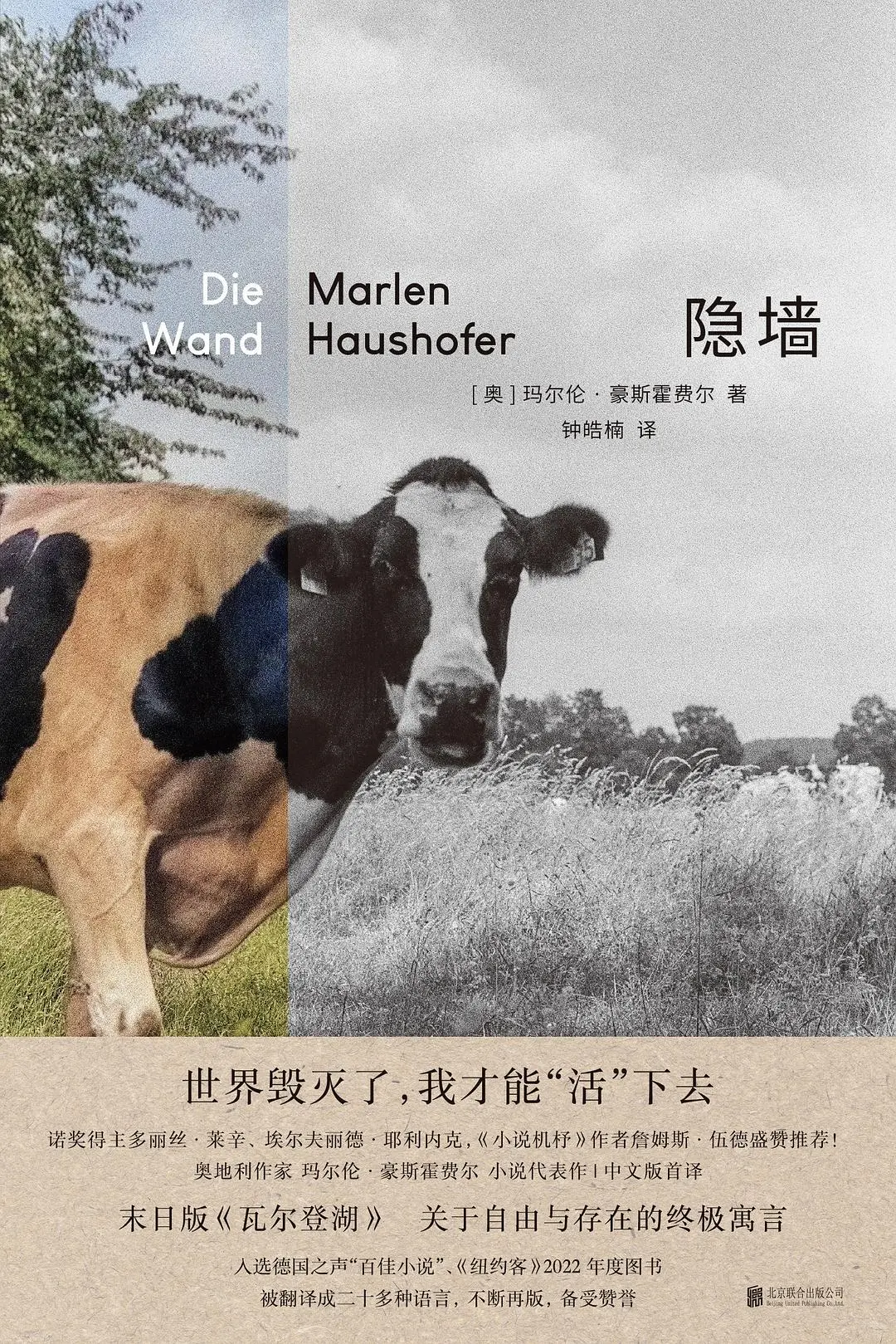 夏日书单｜从绿番茄的酥香到鲜花森林的冷冽