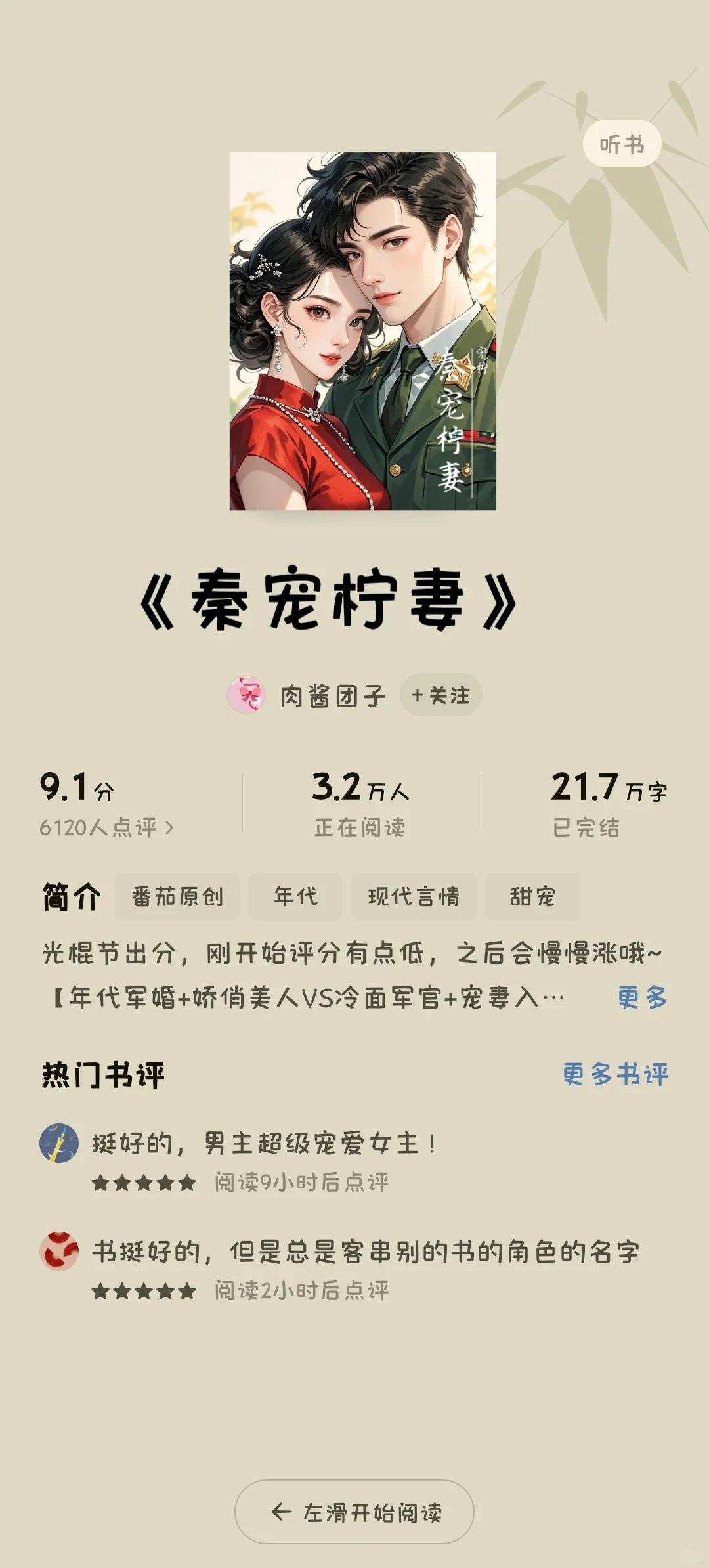 年代甜宠文