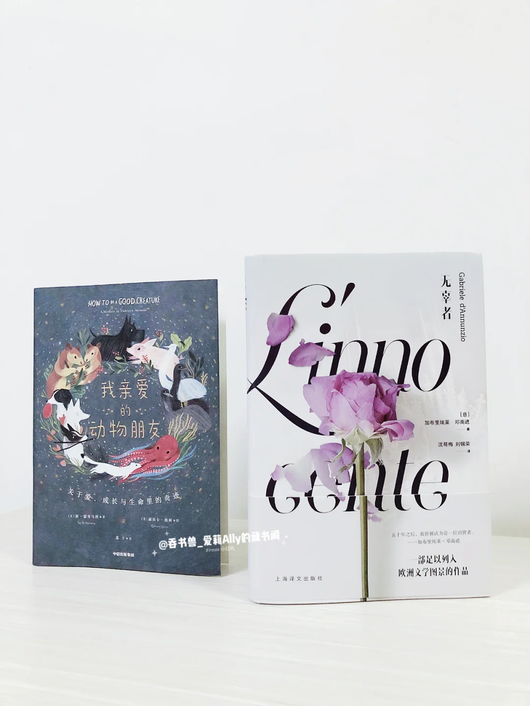 八月书单|读书打卡|自律从定量阅读开始‼️