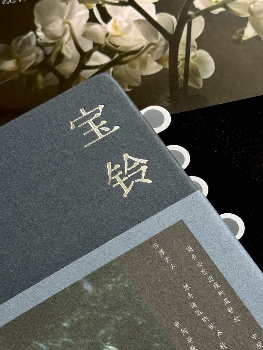 今年读到文笔很绝的一本书，没有之一。