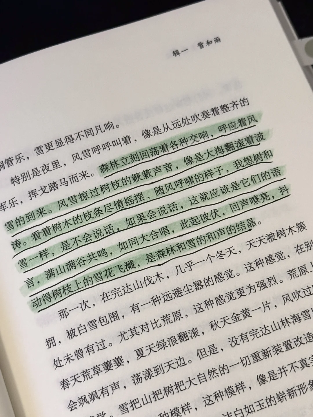文笔美到心颤❗️恨不得全文摘抄背诵❗️