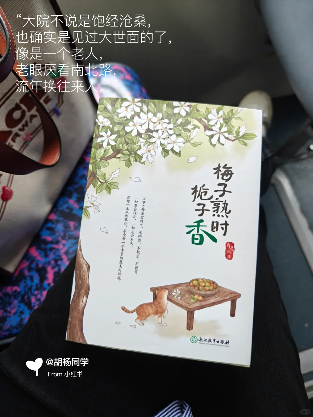 打工人通勤书单 | 当我在路上不停读书3