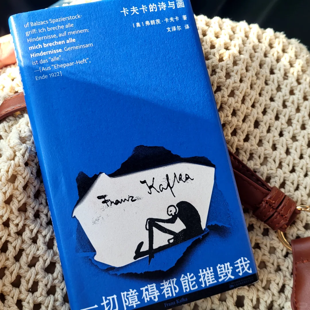 一切障碍都能摧毁我