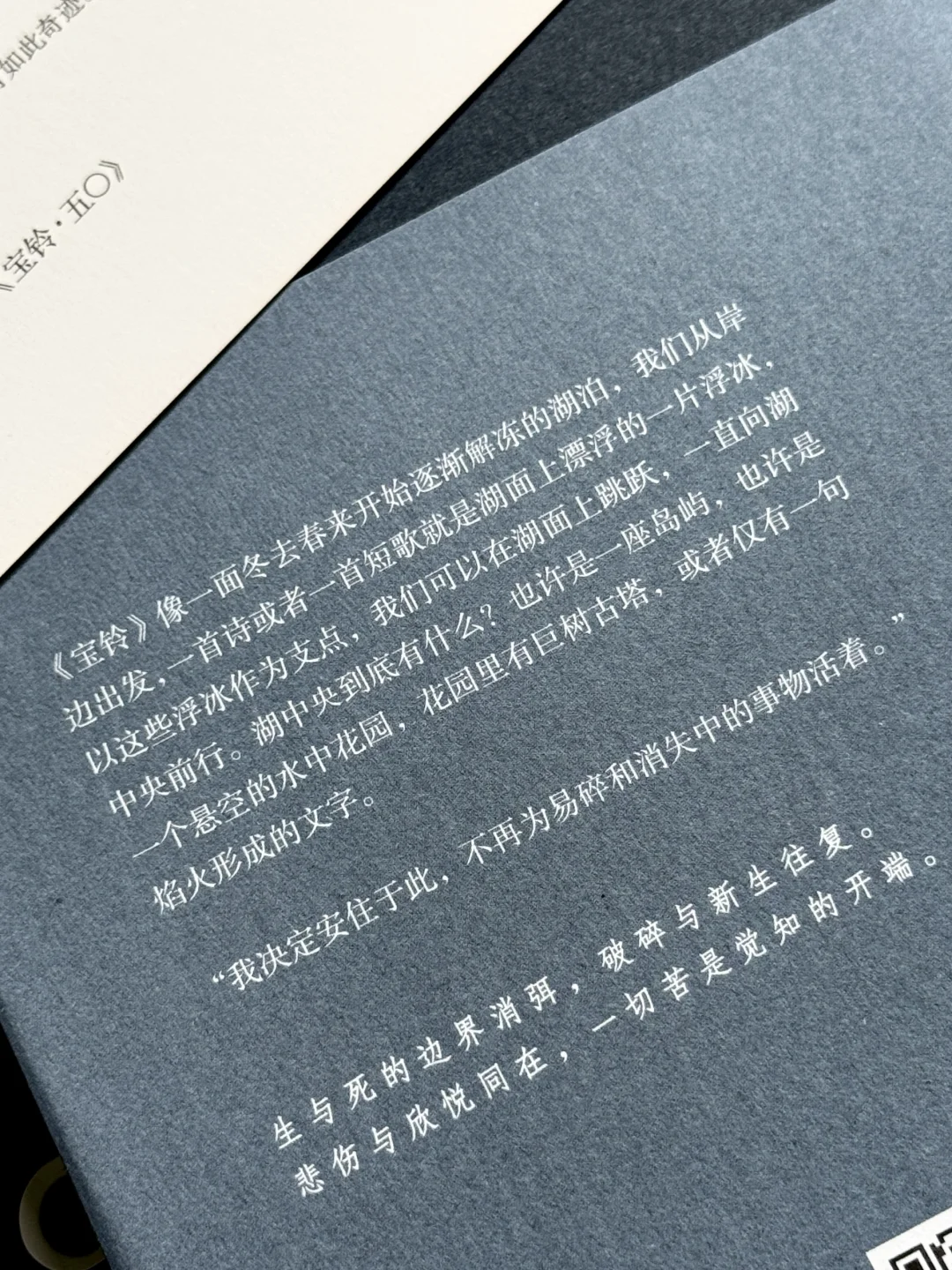 今年读到文笔很绝的一本书，没有之一。