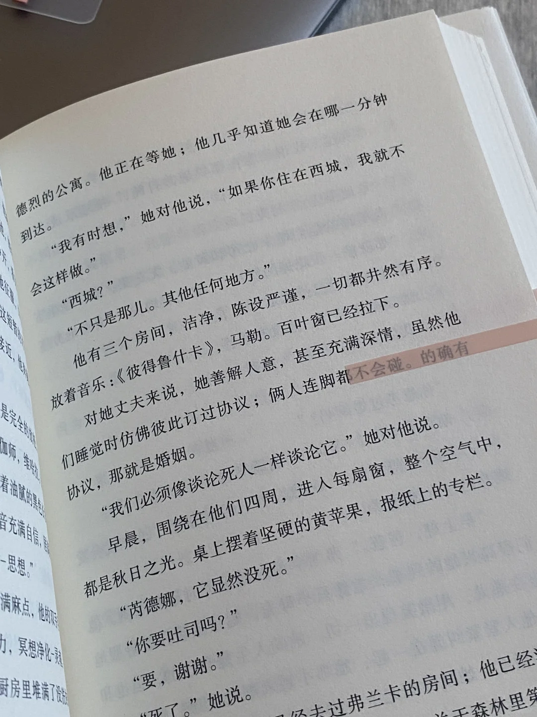 好爱这种文学属性很浓的小说。