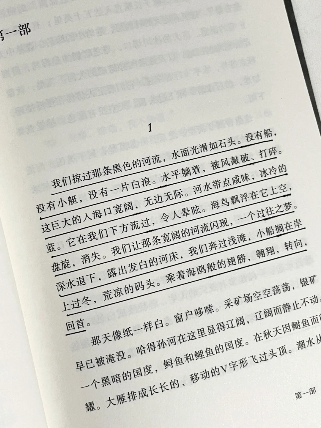 今年读到最惊艳的一本小说，没有之一！！