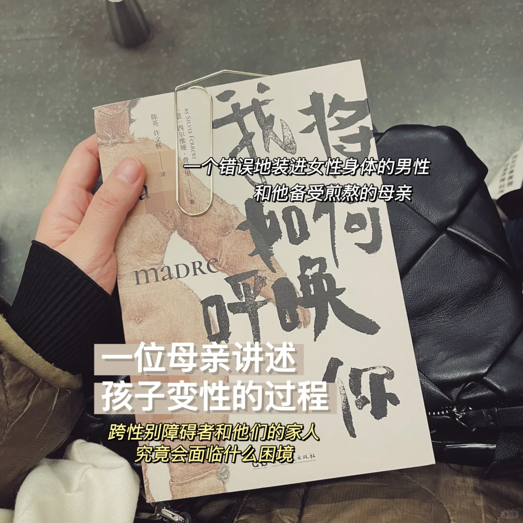 在地铁里读书，打工人心灵的OK绷🩹
