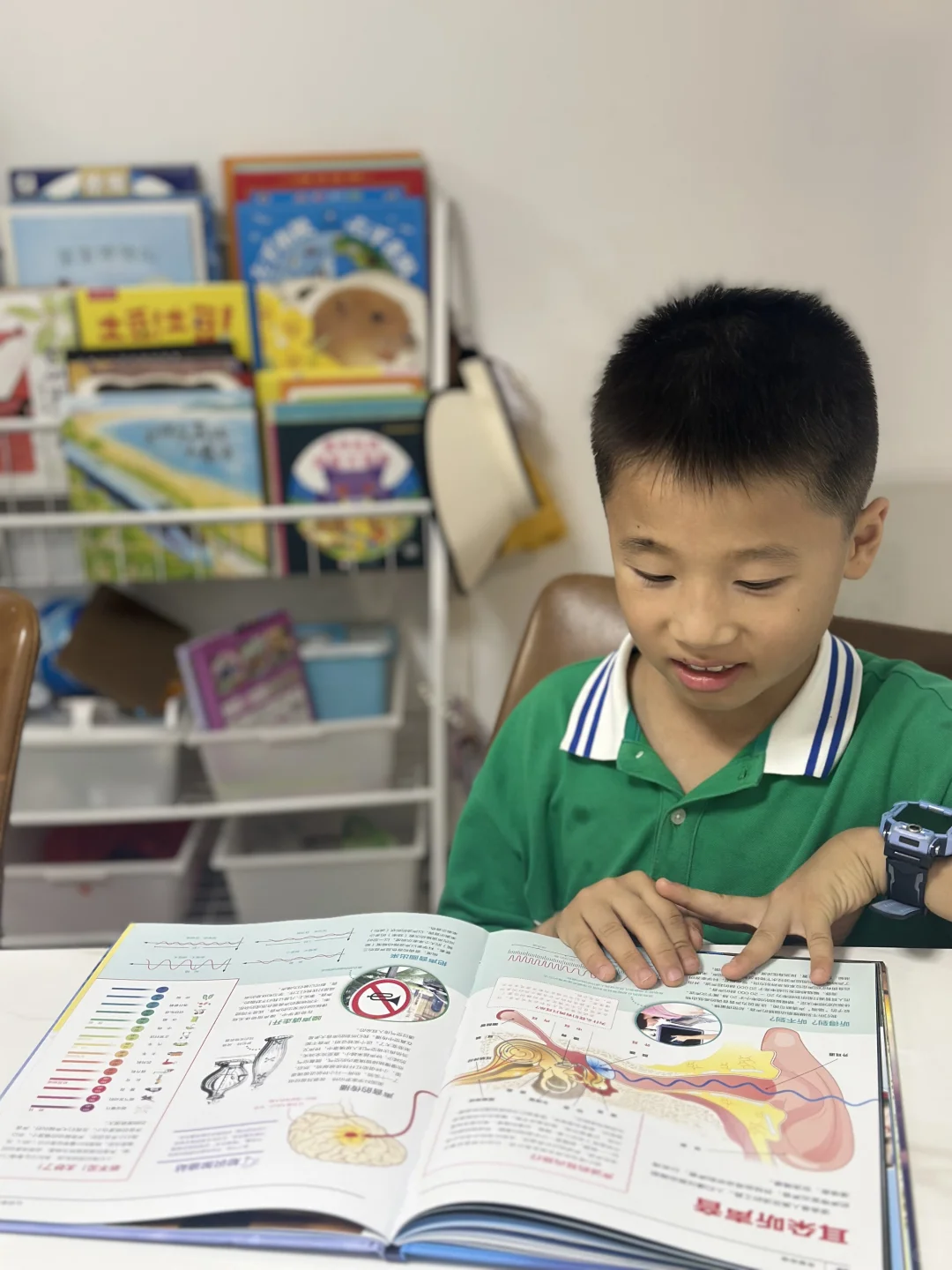 小学生必读科普绘本｜《奇趣物理》
