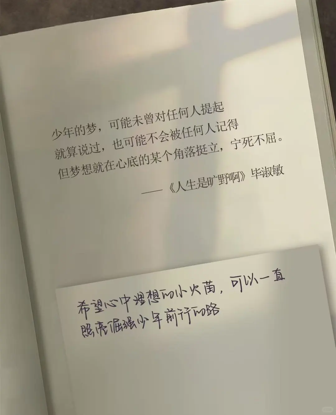 妈妈人生是旷野啊！！！！！！