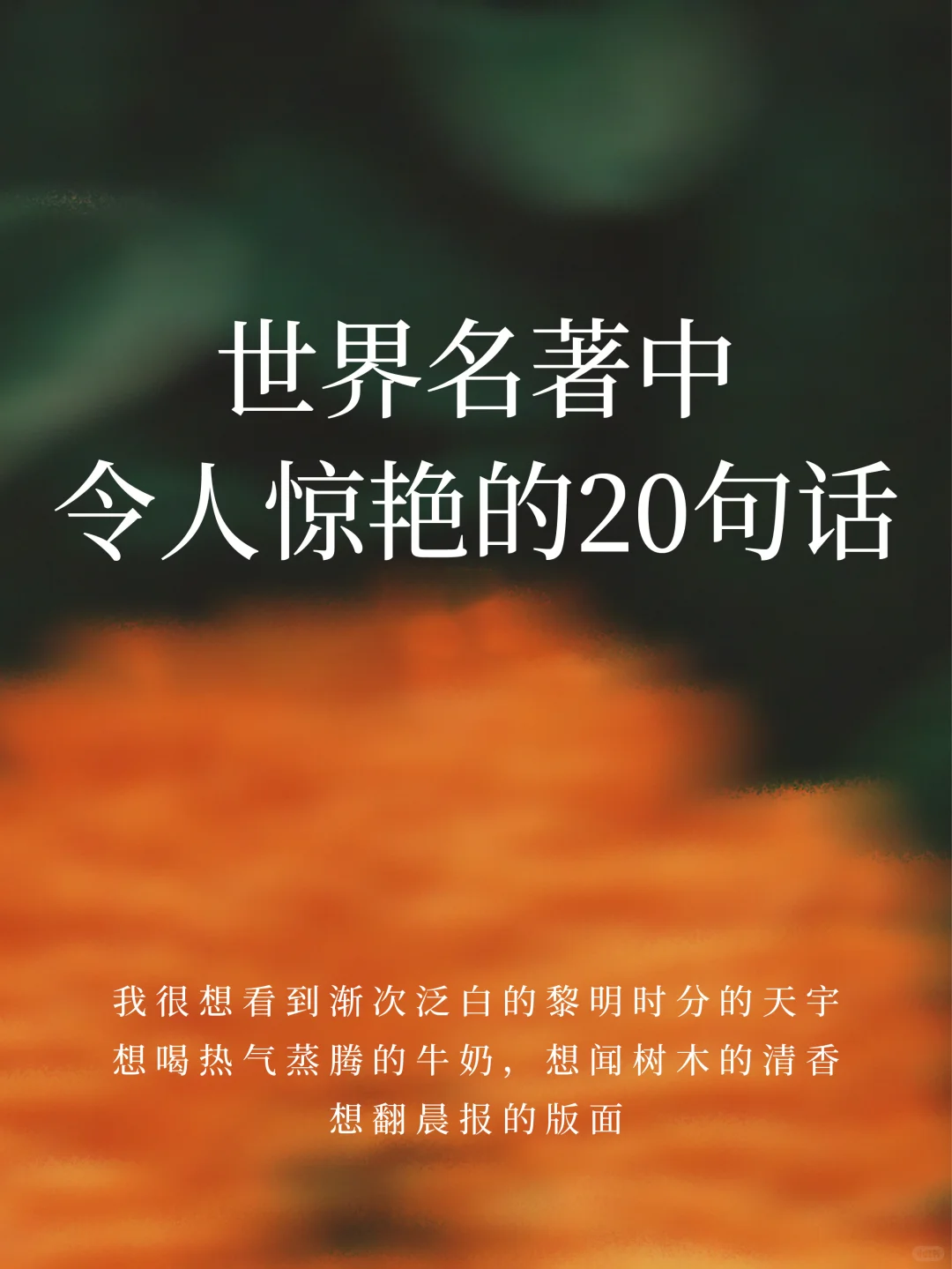 名著中令人惊艳的20句话，总有一句直击内心