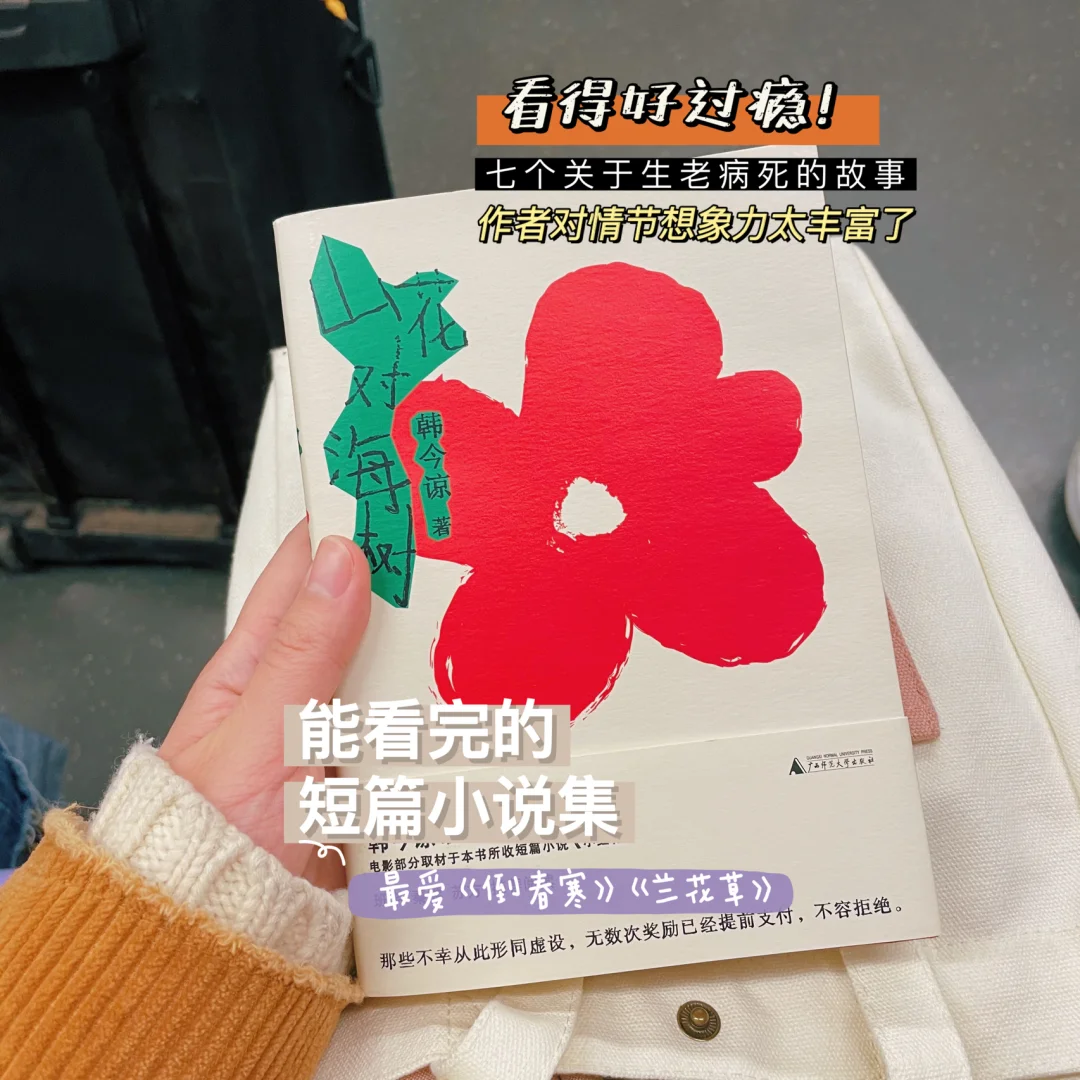 在地铁里读书，打工人心灵的OK绷🩹