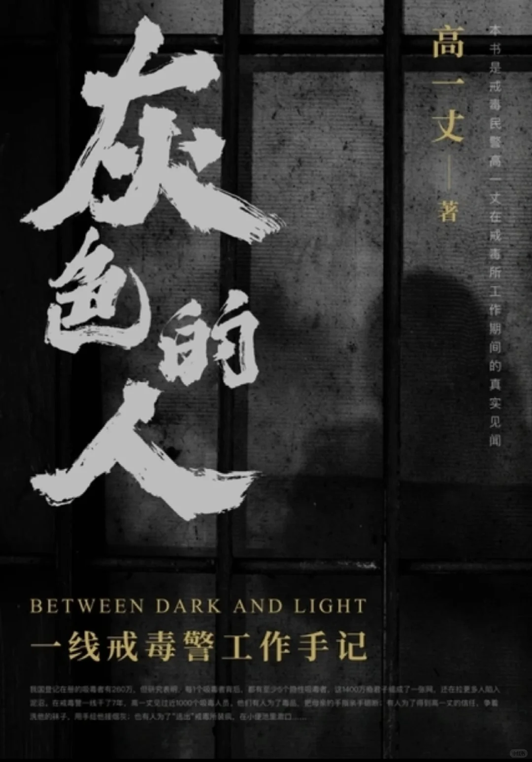 通勤书单推荐:《灰色的人》