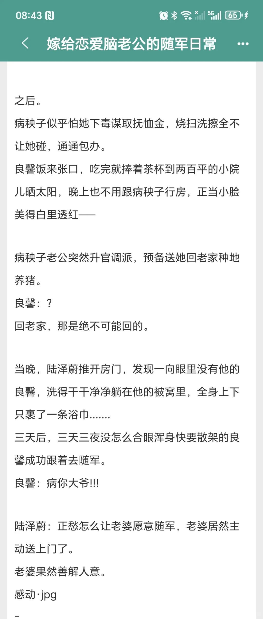 超好看的年代文！！！（二）