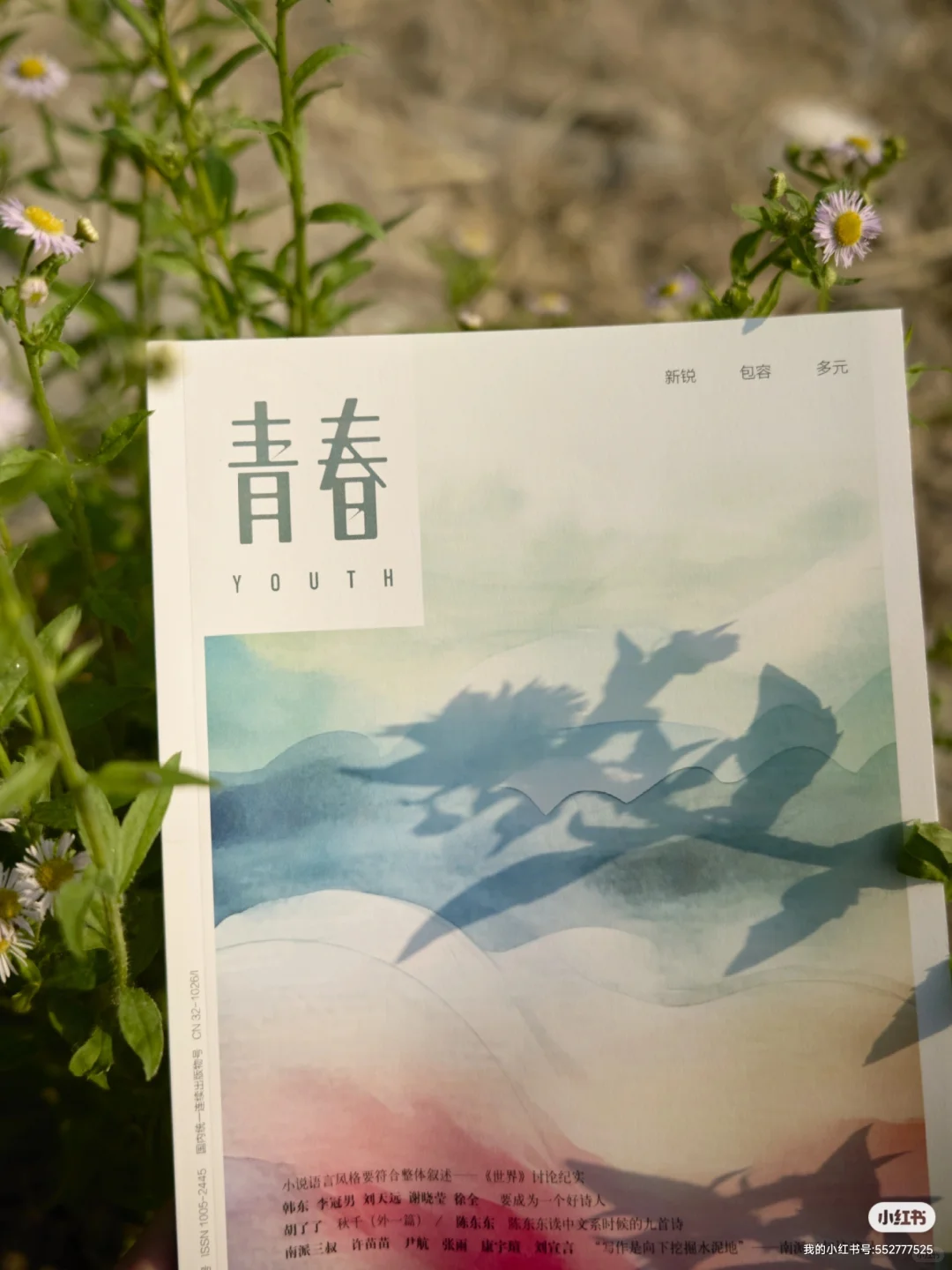 长大后我留恋所有带花的食饮|青春文学奖
