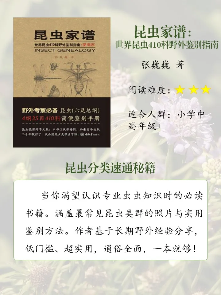 喜欢昆虫的娃必读的10本书